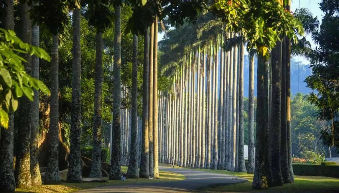 Serene Home Kandy Dış mekan fotoğraf